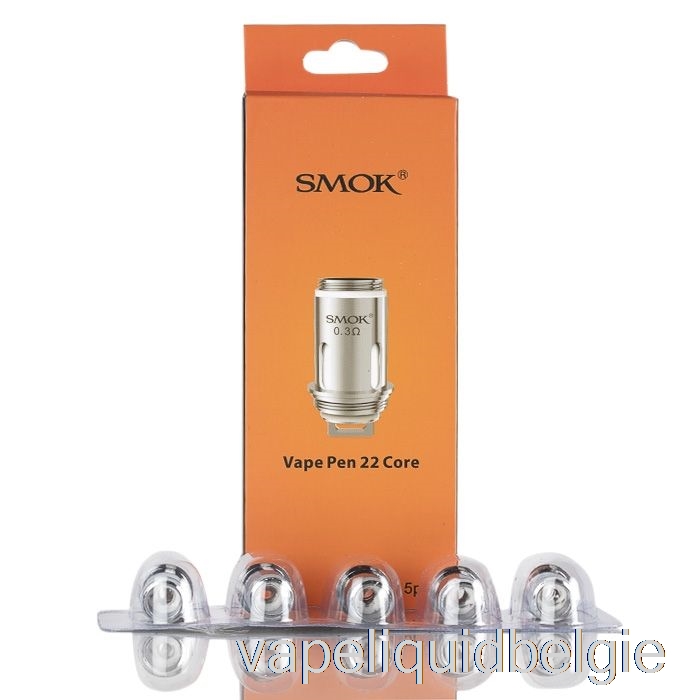 Vape België Smok Vape Pen 22 Vervangende Spoelen 0.3ohm Dual Core